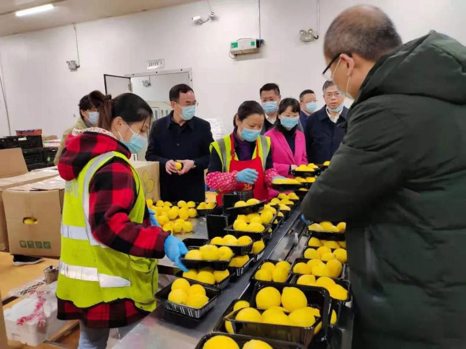 币游·国际(中国游)官方网站