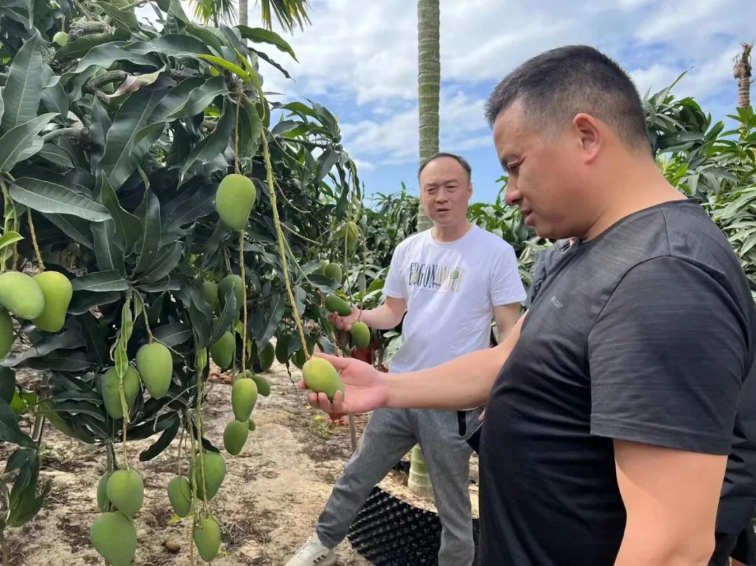 币游·国际(中国游)官方网站