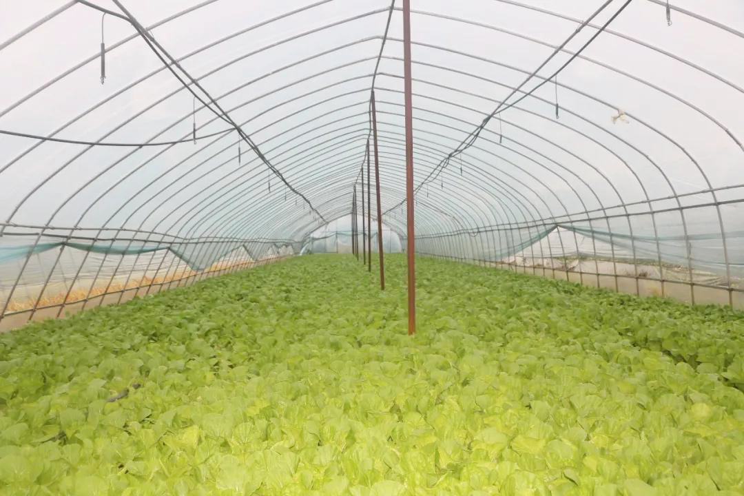 ���Ρ�����(�й���)�ٷ���վ